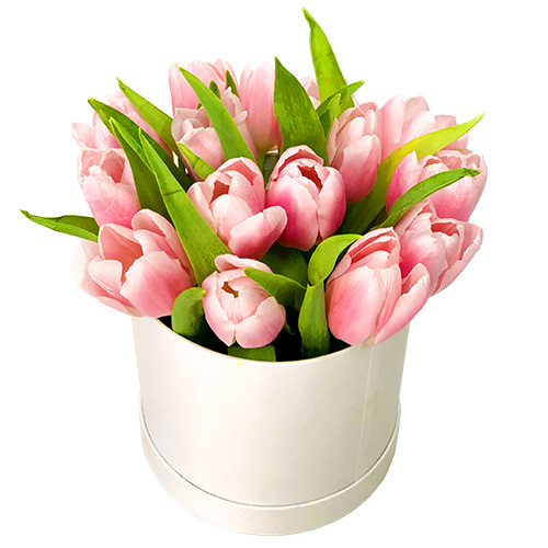 "Очарование". Тюльпаны в коробке